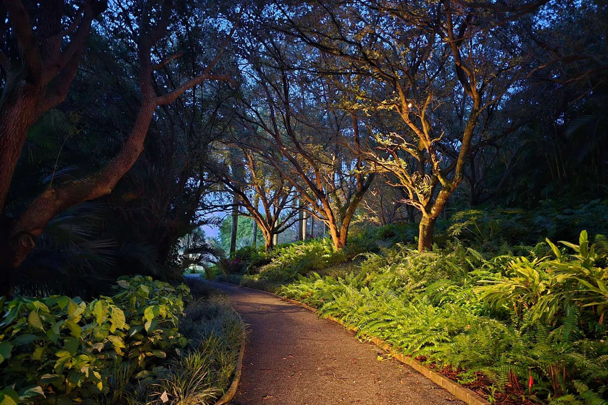 Lighted nature path