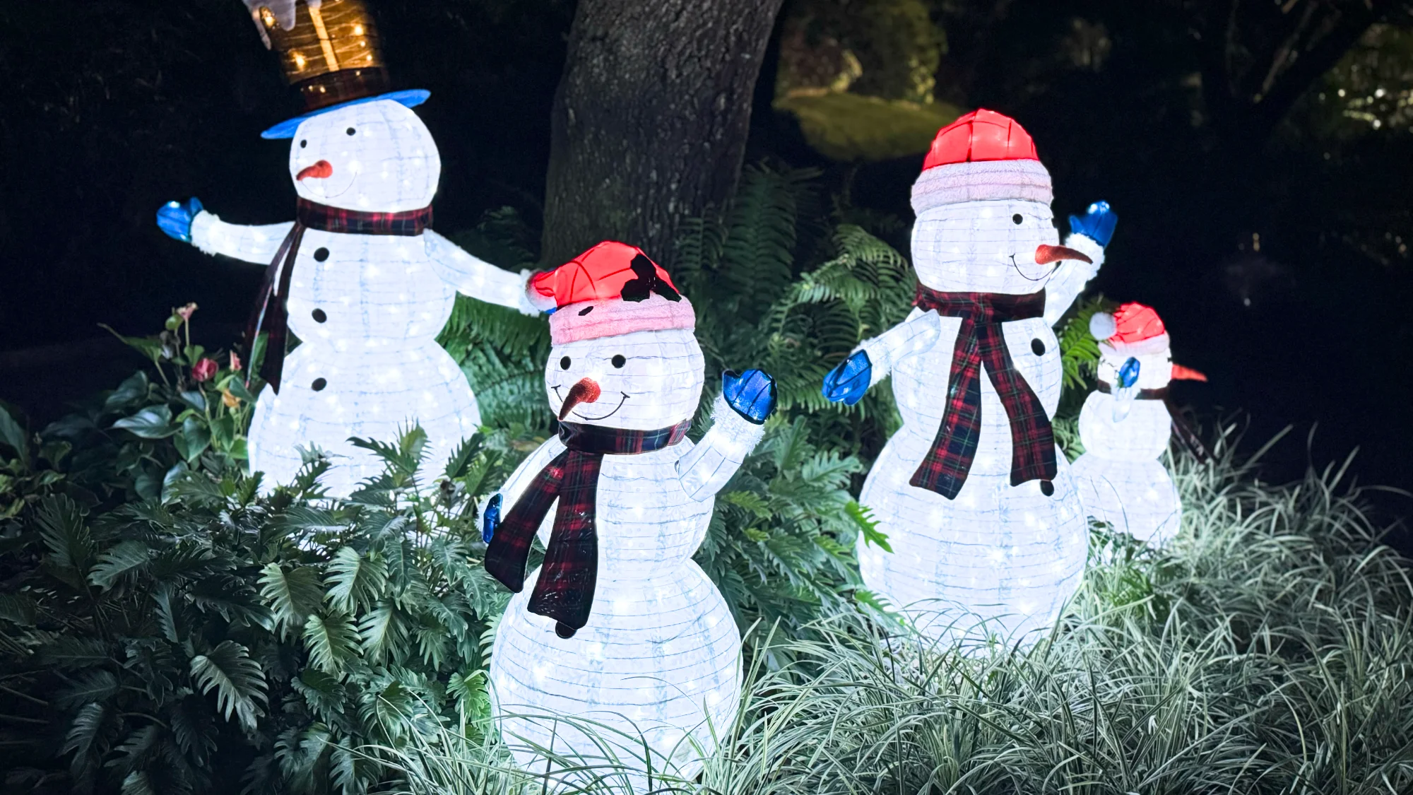 Winter Wonderland at Le Rivage