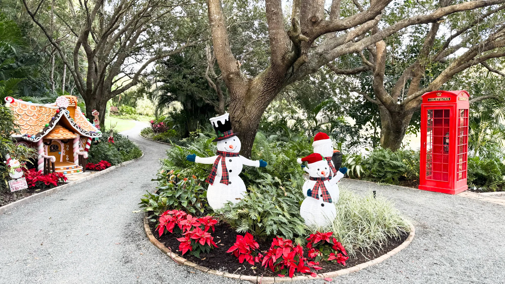 Winter Wonderland at Le Rivage