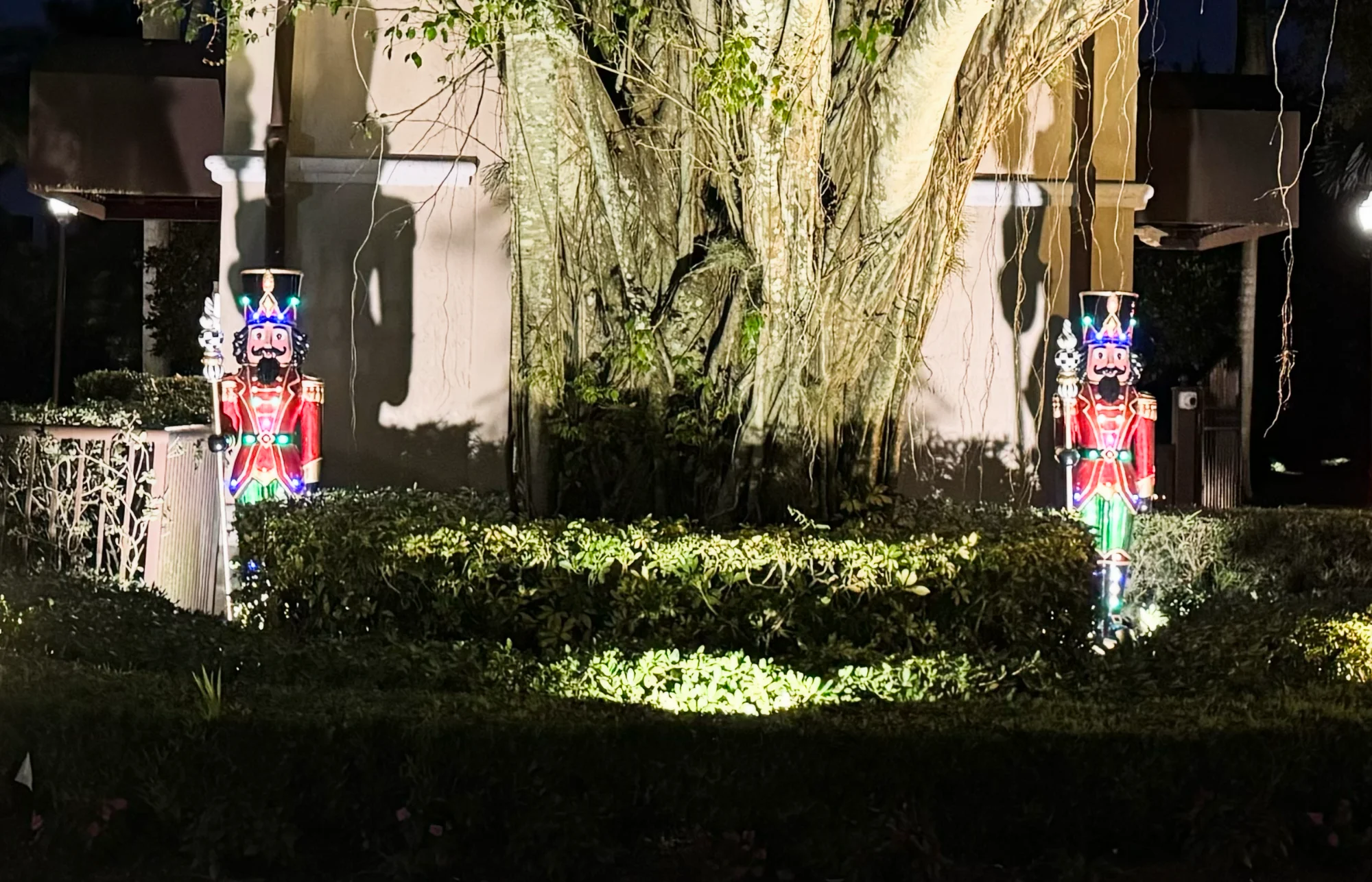 Winter Wonderland nutcrackers
